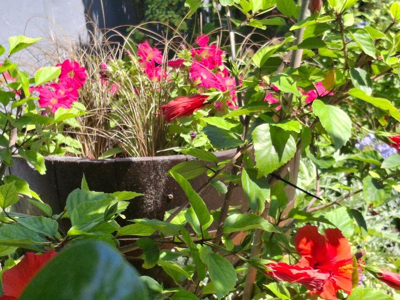 1 Bedroom Property for Sale in Stilbaai East Western Cape